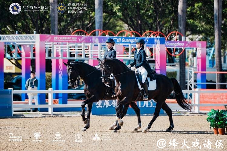 370余对组合同台竞技，第八届广东省马术联赛总决赛举行