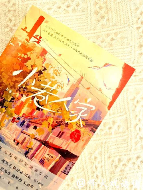 《沈清欢霍执屿》小说：三岁，霍执屿和母亲搬到幸福小巷，和沈清欢成了邻居。